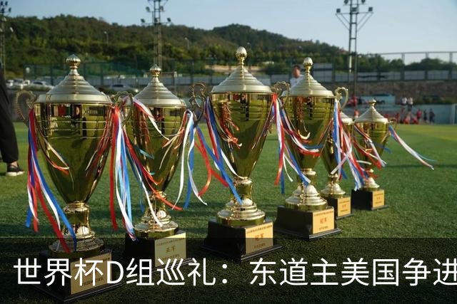 世界杯D组巡礼：东道主美国争进8强 土耳其巴拉圭澳洲混战